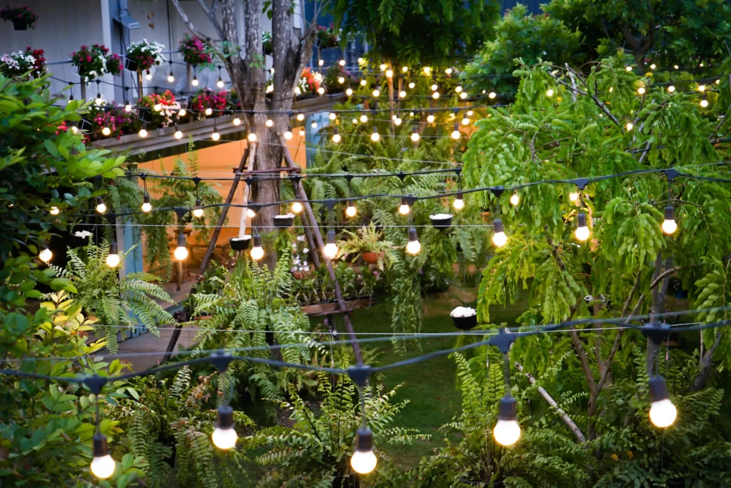 tungsten light line was decorated container garden night